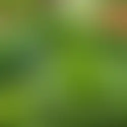 10 Super-Foods for Your Hormonal Balance