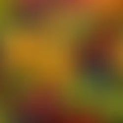 Sugar Detox: Myths and Facts