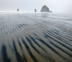 Magnetite Pattern at Cannon Beach
