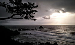Winter Light at Ecola