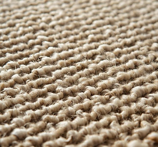 Primary Services (2)_edited.jpg