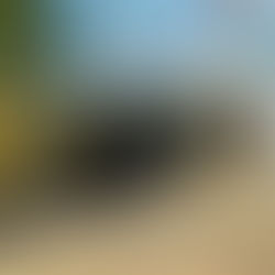 Sixty two steps, sixty two prayers