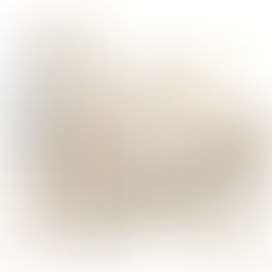 Color Crush: Oyster!