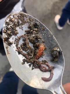 Un atelier jardinage à l'école