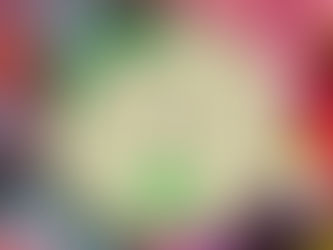 Enfin un amélanchier!!