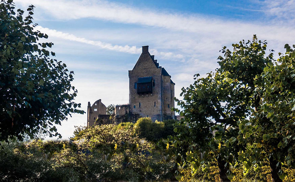 Château de La Rochette (25)