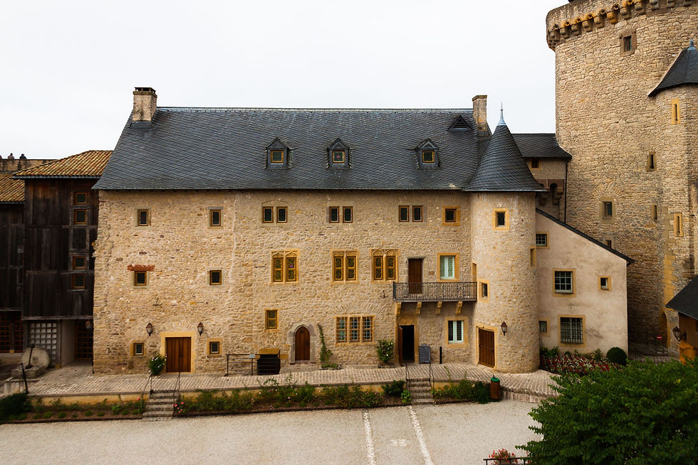 Château_de_Malbrouck__(16).jpg