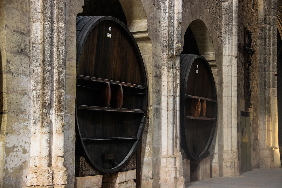Abbaye de Valmagne (7).jpg