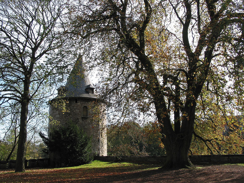 Ha Château de Fontaine-l'Evêque (23).jpg