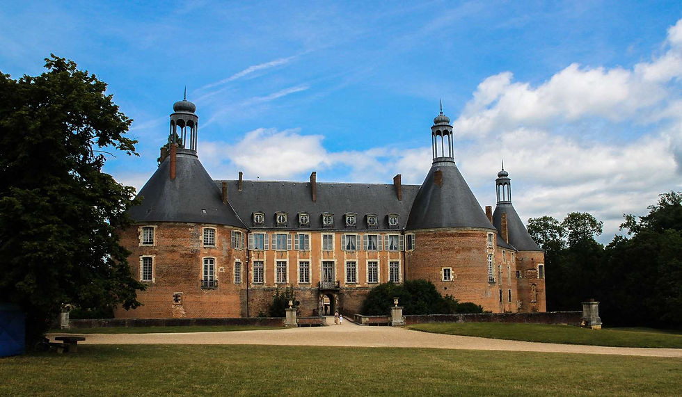 Château de Saint-Fargeau (8).jpg