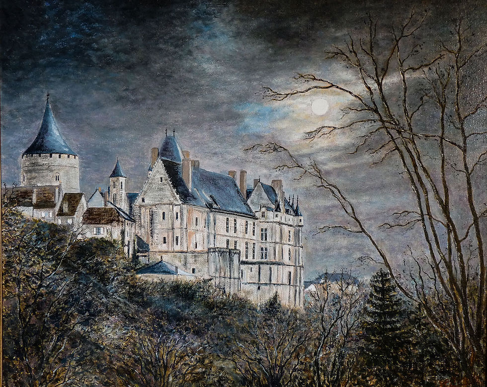 Château de Châteaudun (51).jpg