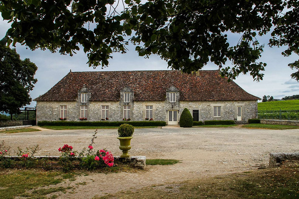 Château de Monbazillac (7)