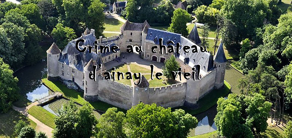 Centre_-_Val_de_Loire_-Cher_Château_d'Ainay-le-Vieil_(67).jpg