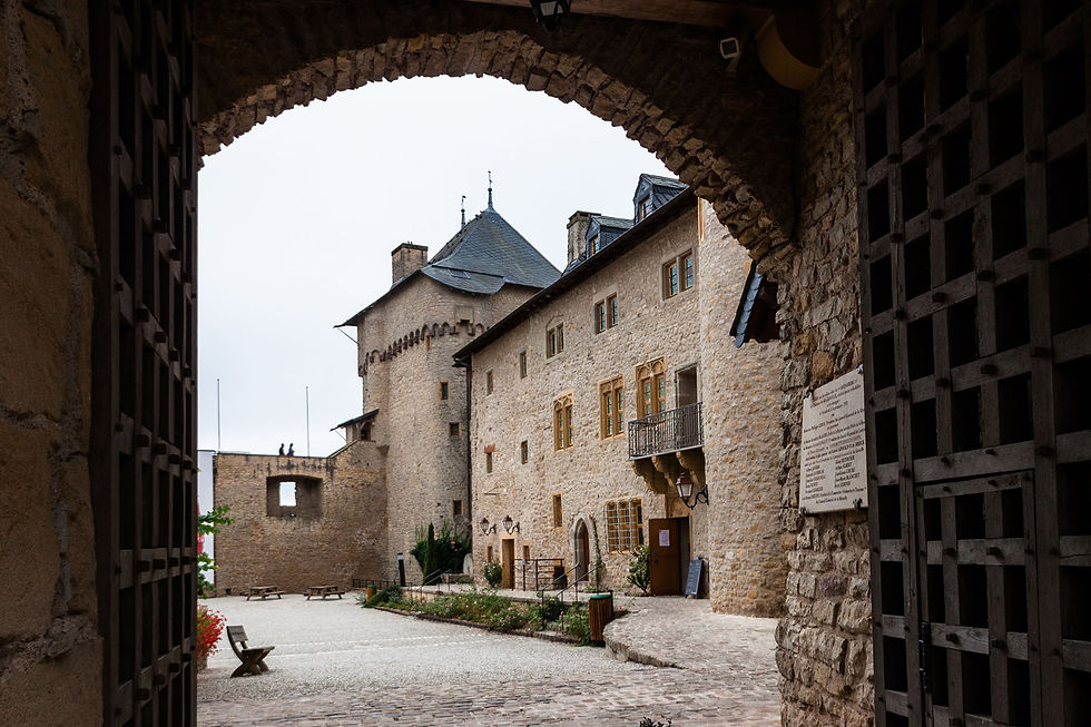 Château de Malbrouck (6).jpg