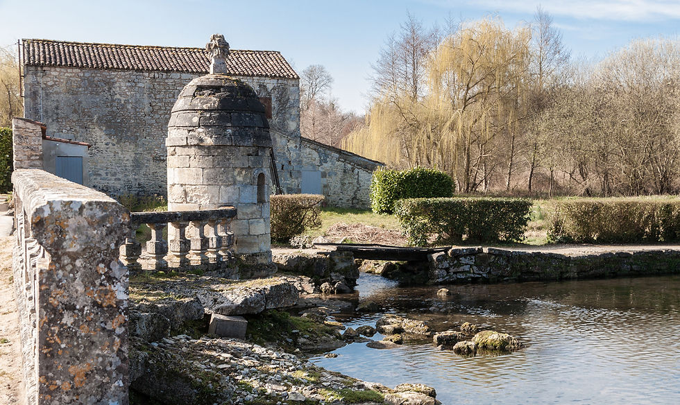 France_Charante_Maritime_Château_de_La_Roche_Courbon__(29).jpg