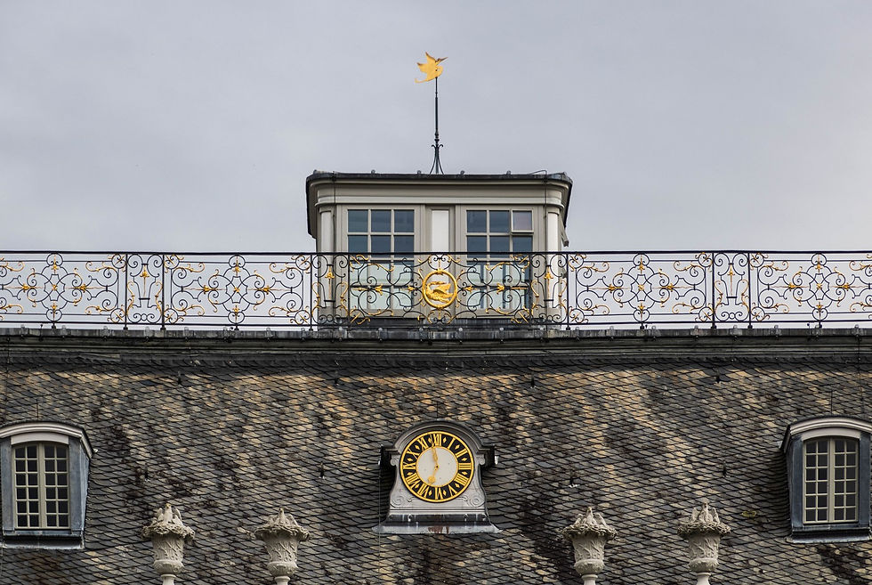 Le pavillon de chasse de Falkenlust-14