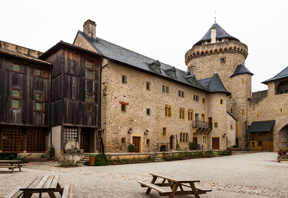 Château de Malbrouck (9).jpg