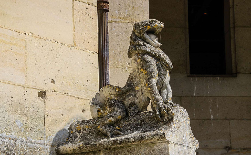 Château de Pierrefonds (42)