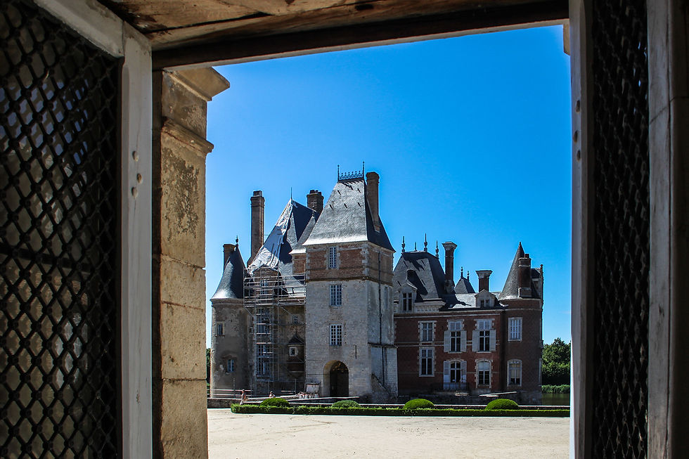 Château de la Bussiére (21).jpg