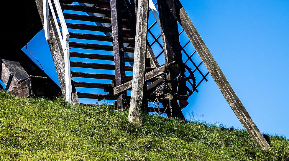 Bonne Chiere (10)