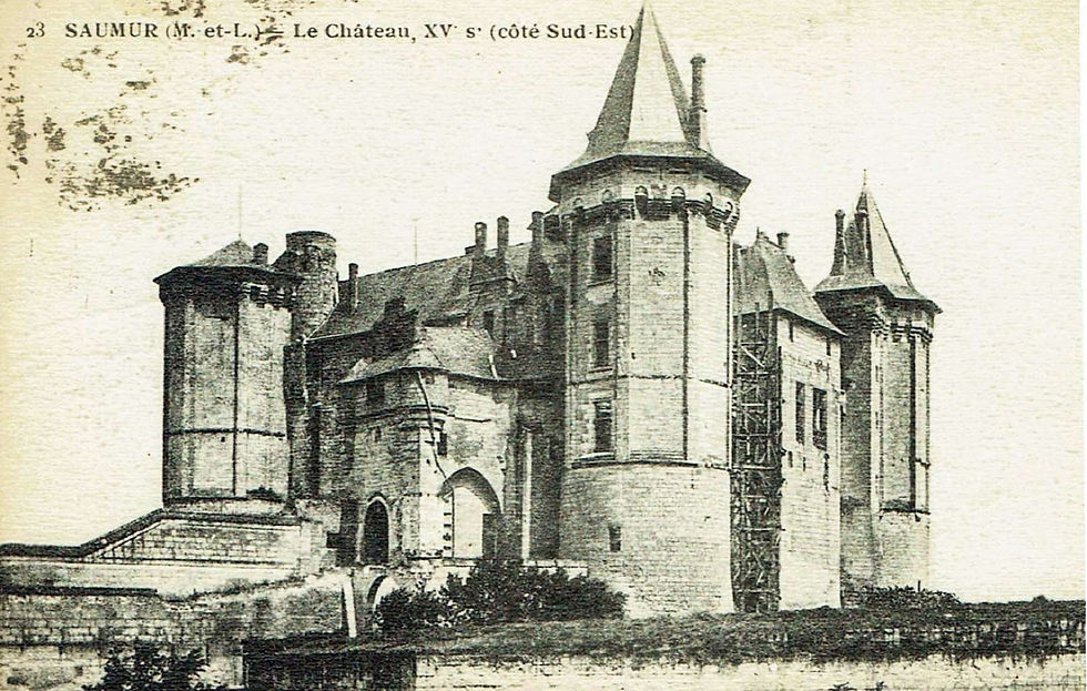 Château de Saumur (7)