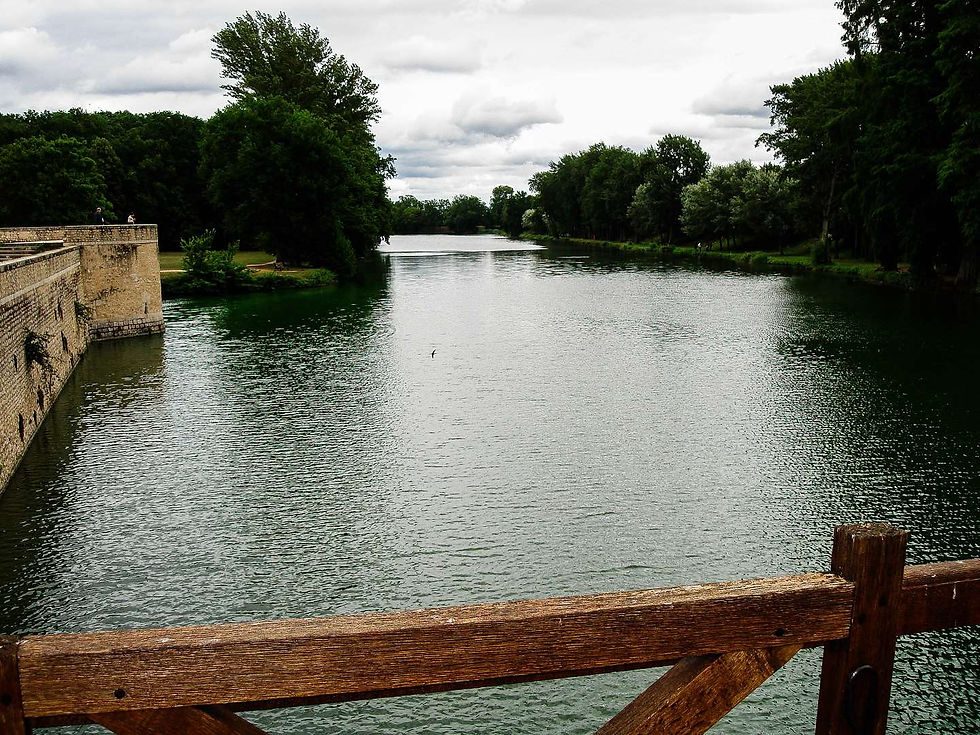 Château de Sully sur Loire (8)