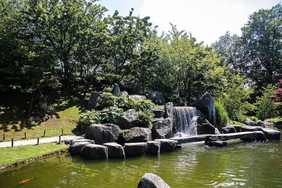 LIMBOURG Jardin Japonais Hasselt (18).jpg