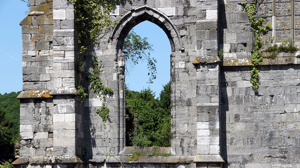 Ha Abbaye d'Aulne (60).JPG