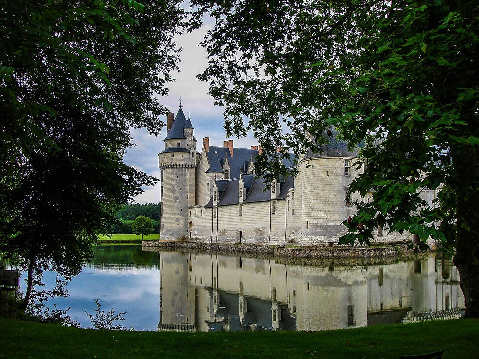 Château du Plessis-Bourré (16)