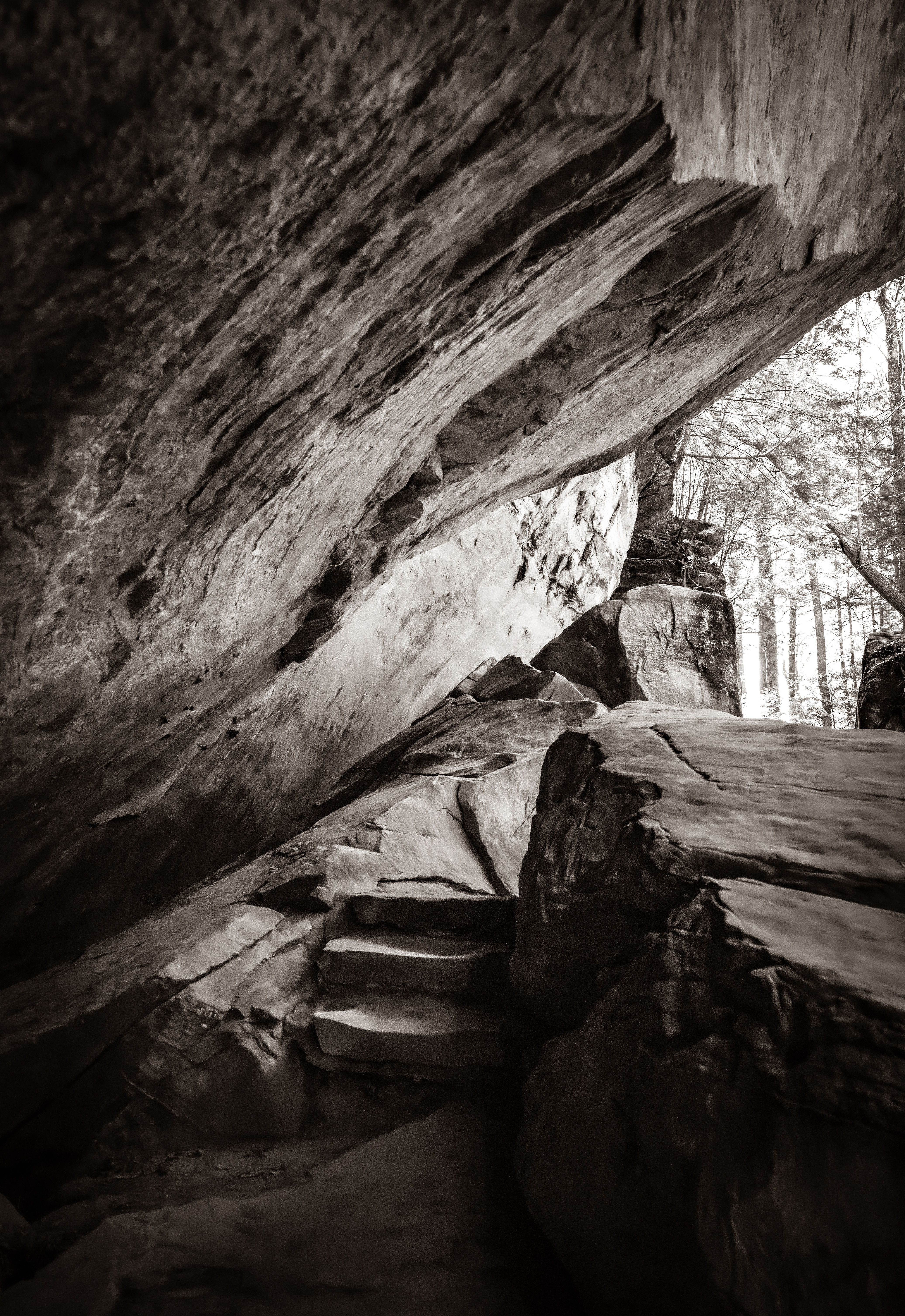 22-GATE28-JulieJamison-APR2025_NZ89814