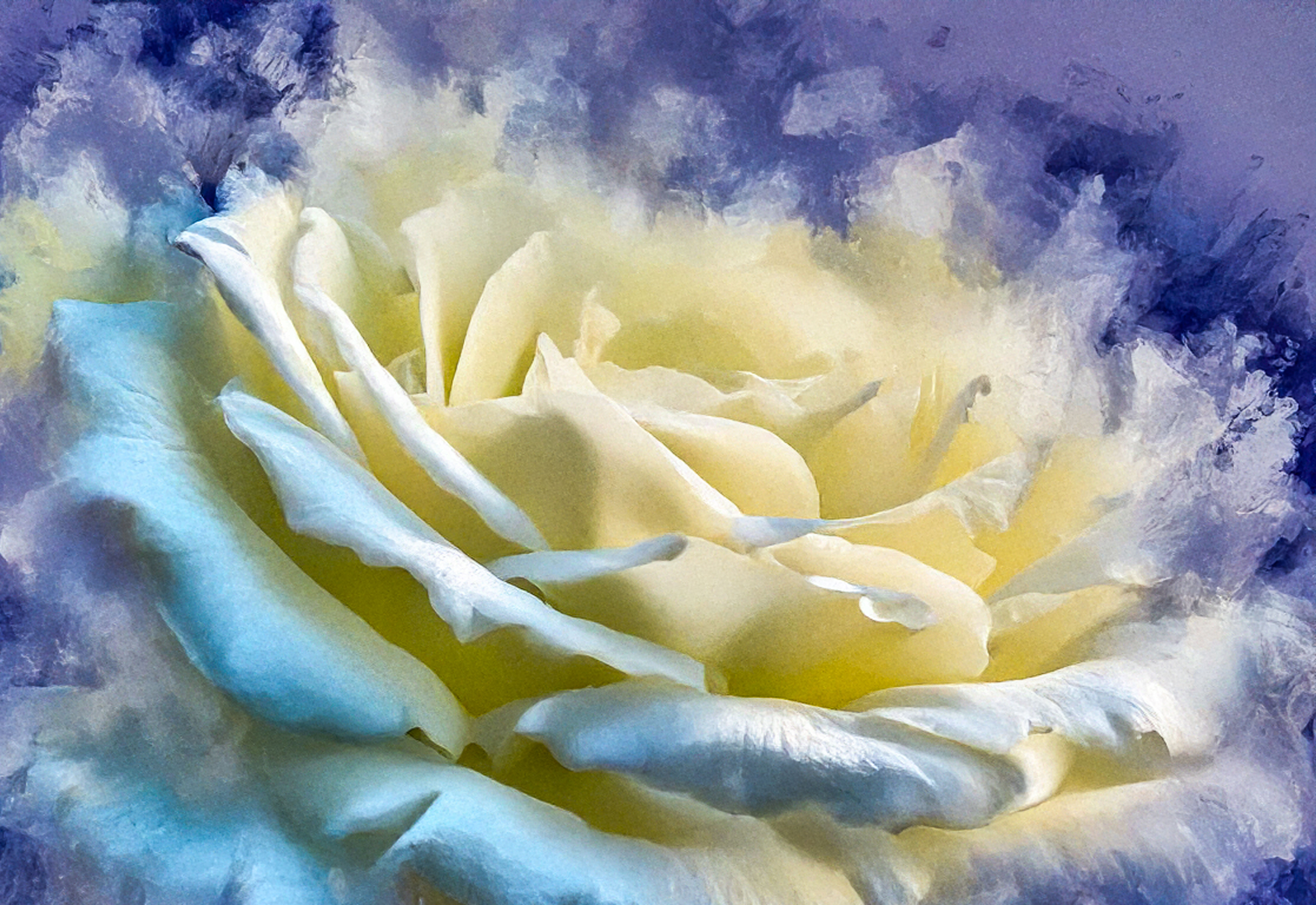 6-G28&JRS-JulieJamison-PURPLE2024-NZ881451