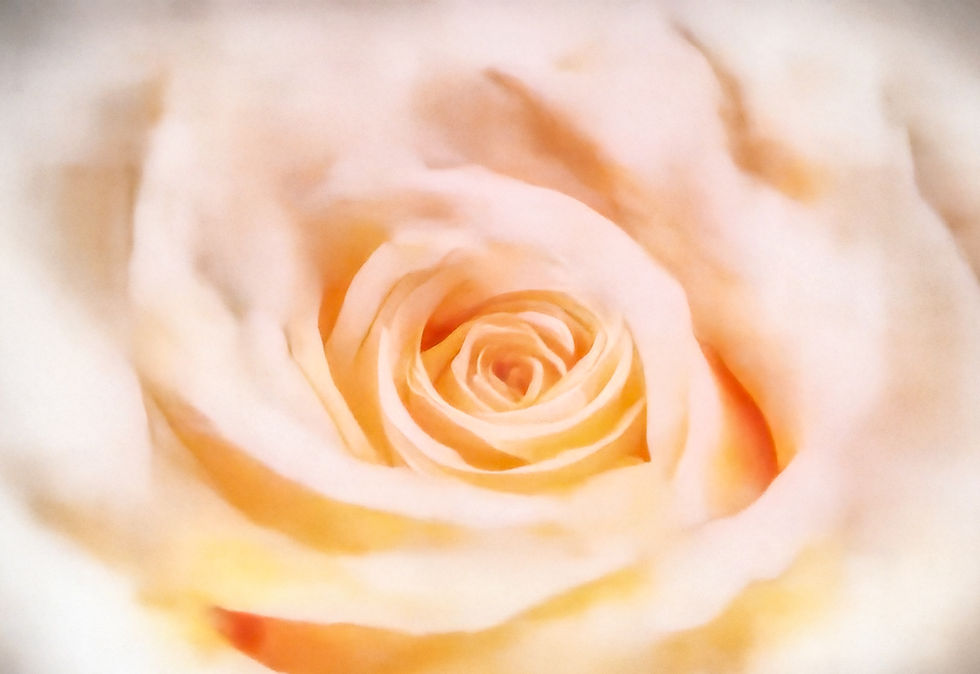 13-GATE28-JulieJamison-Lustra-Oct2025_NZ857591