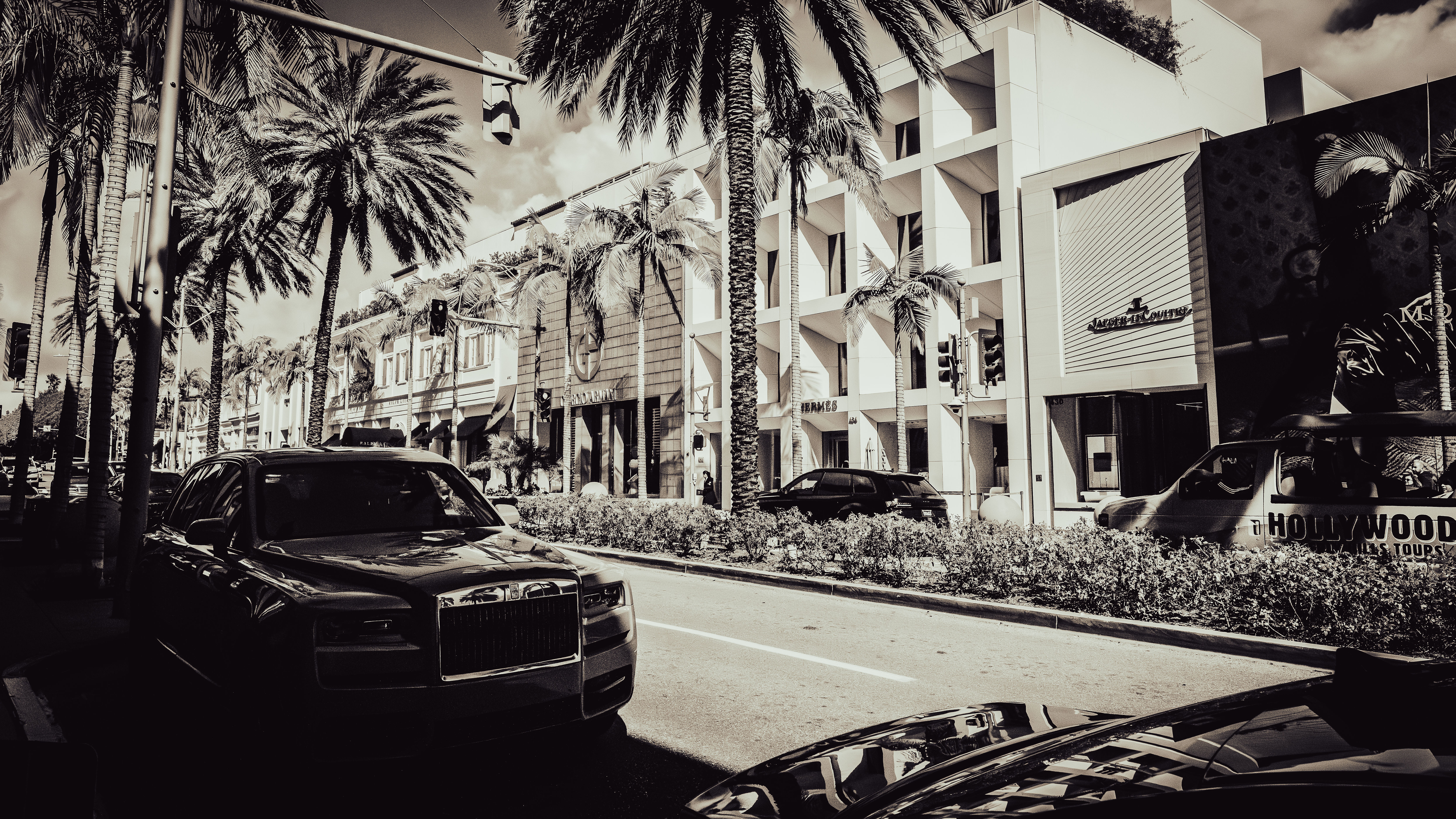 9-GATE28-JulieJamison-Gilded-AUG2025_NZ89181