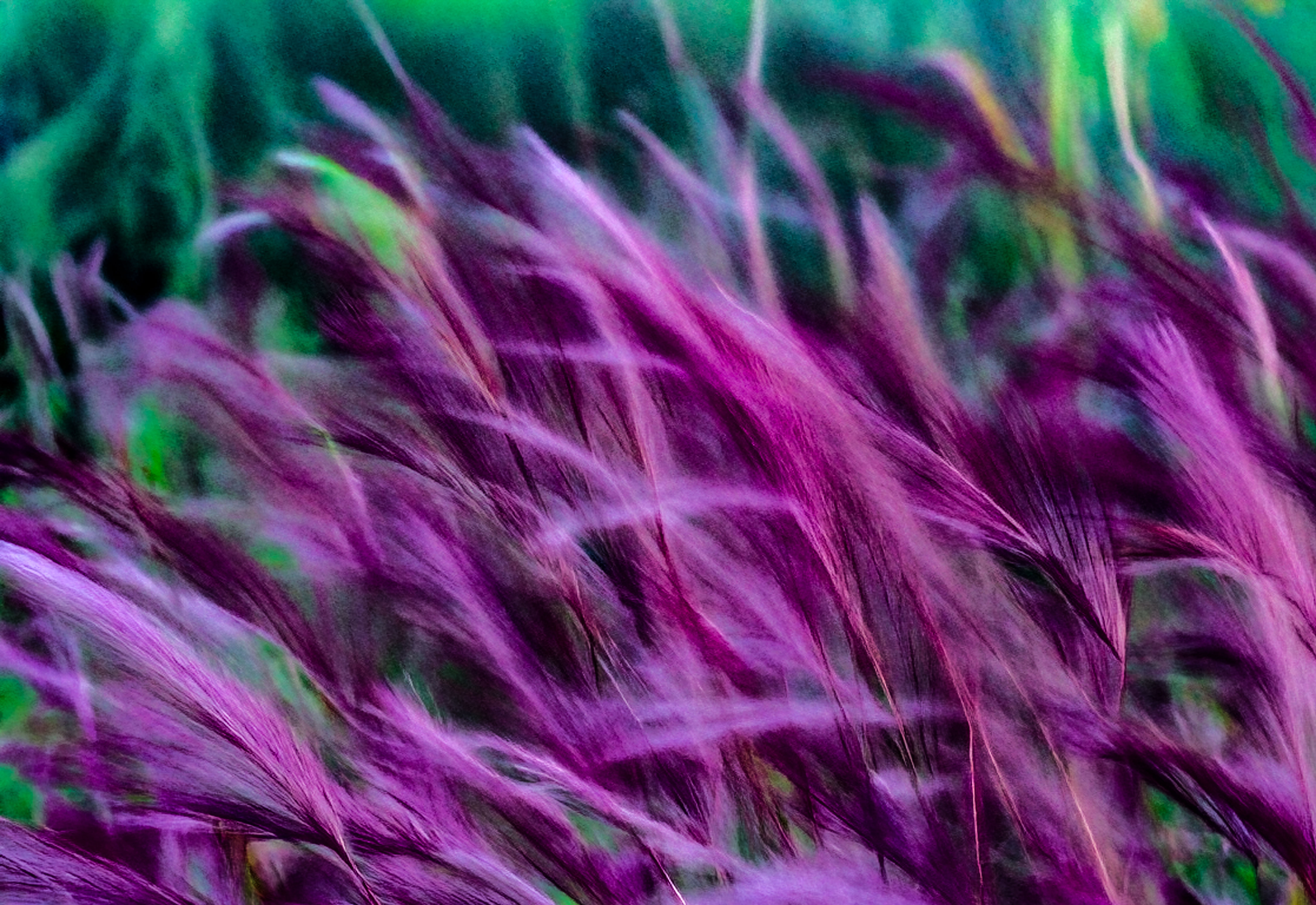 23 - JRS - Julie Jamison - Dusk – JUL25_NZ818211