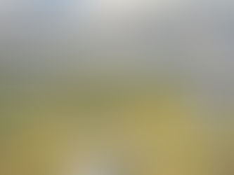 FPV Reconnaissance Drone