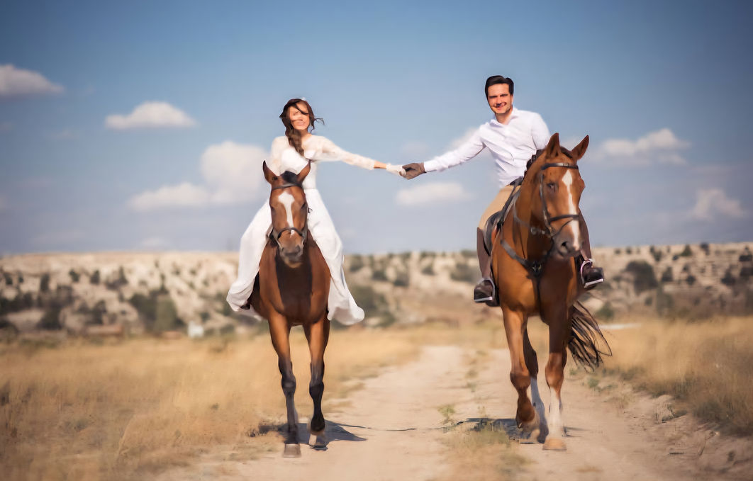 Horse Wedding 3.jpg