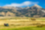 Montana Background Stock Photo 2.jpeg
