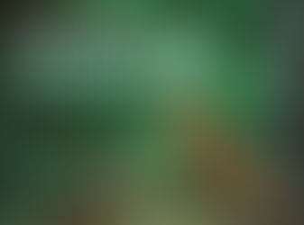 #RestoreNature: Kviečiame savo laišku palaikyti ES Gamtos atkūrimo reglamentą 