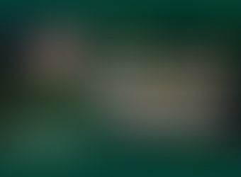 #RestoreNature kampanija: 207-ių Europos NVO pritarimas ES Gamtos atkūrimo reglamento patvirtinimui 