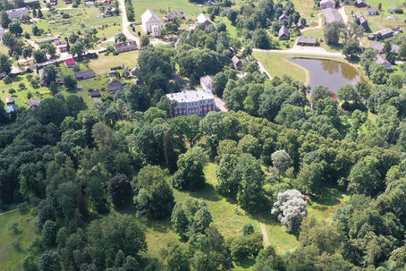 Bebrenės parke pradėti medžių senolių tvarkymo darbai