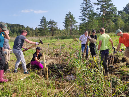 Pradedame projektą pelkių atkūrimui Lietuvoje skatinti ir klimato kaitai švelninti