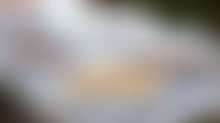 Praktiški patarimai, kaip mažinti durpės naudojimą savo sode