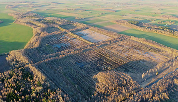DJI_0874a.JPG