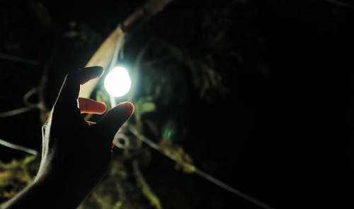 Reaching for the Light