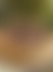 Chocolate & Peanutbutter Popcorn Cake - no-bake celebration dessert