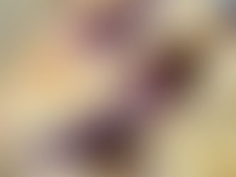 Lemon White Chocolate & Blackberry Focaccia  - Sourdough