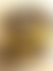 Frozen Choc & Nut Chilli Pineapple Rings