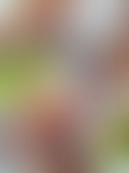 Chocolate & Ginger Protein Smoothie Bowl