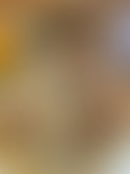 Pumpkin Spiced Sugar Coated Cookies