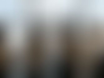 Liderazgo co inspirador: Un camino hacia organizaciones éticamente sustentables